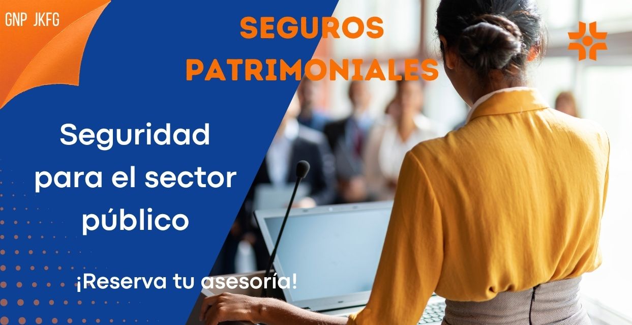Sector Público