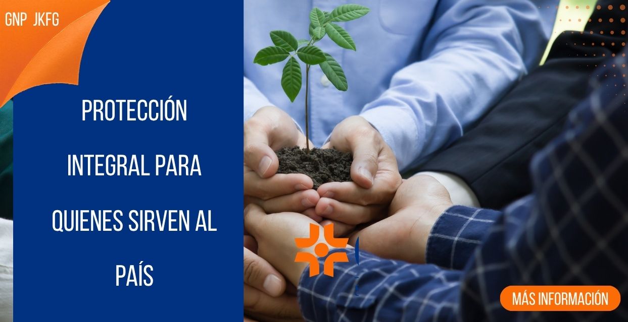 Sector Público